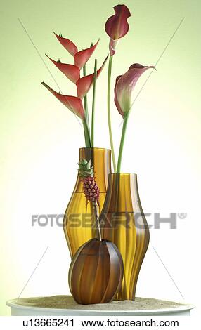 Heliconia and calla View Large Photo Image Stock Image - Heliconia and calla. Fotosearch