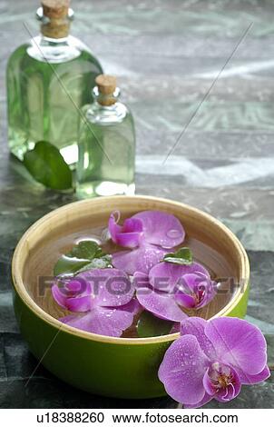Orchid blossoms in a water bowl and small bottle for perfume View Large Photo Image Stock Image - Orchid blossoms in a water bowl and small bottle for perfume. Fotosearch