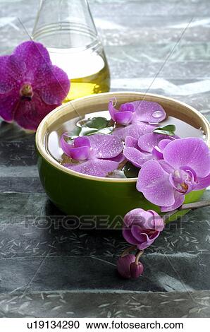 Orchid blossoms in a water bowl View Large Photo Image Stock Image - Orchid blossoms in a water bowl. Fotosearch