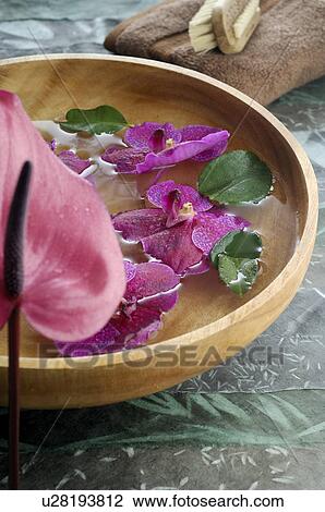 Stock Image - Orchid blossoms in a water bowl. Fotosearch