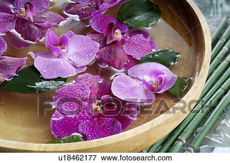 Stock Photo - Orchid blossoms in a water bowl. Fotosearch