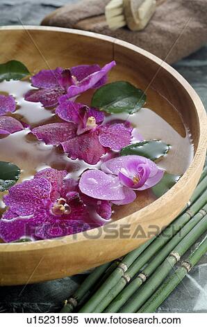 Stock Photography - Orchid blossoms in a water bowl. Fotosearch
