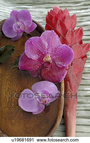 Stock Image - Orchid blossoms in a wooden bowl. Fotosearch