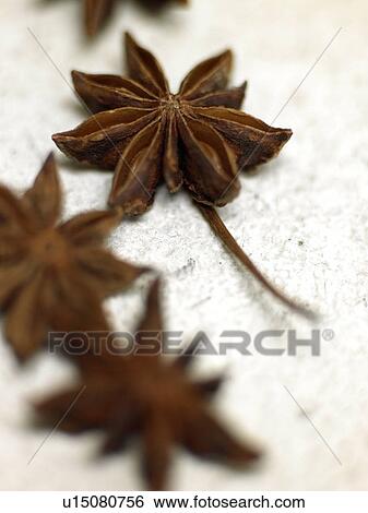 close-up anise View Large Photo Image Stock Photograph - close-up anise. Fotosearch