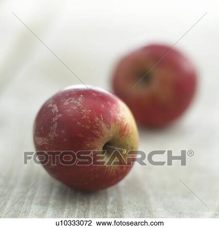 close-up red apples View Large Photo Image Stock Image - close-up red apples. Fotosearch