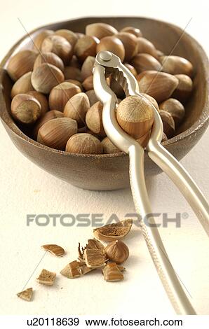 hazelnuts View Large Photo Image Stock Photo - hazelnuts. Fotosearch