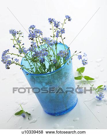 blue glass with forget-me-not View Large Photo Image Stock Photo - blue glass with forget-me-not. Fotosearch