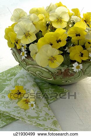 Stock Photo - bouquet of yellow violas. Fotosearch