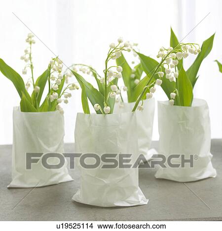 Picture - lilies of the valley in white paper bags. Fotosearch