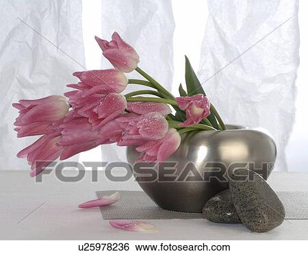 Stock Photograph - rose tulip bouquet. Fotosearch