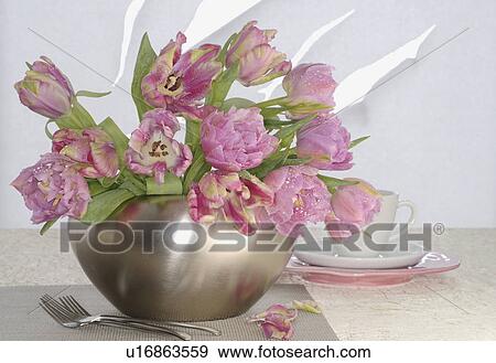 spring View Large Photo Image Stock Photo - spring. Fotosearch