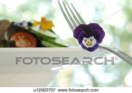 viola decoration View Large Photo Image Stock Photo - viola decoration. Fotosearch