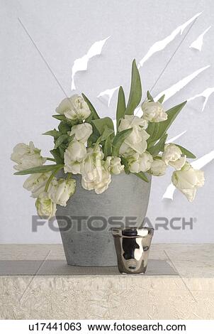 Stock Image - white tulips in vase. Fotosearch
