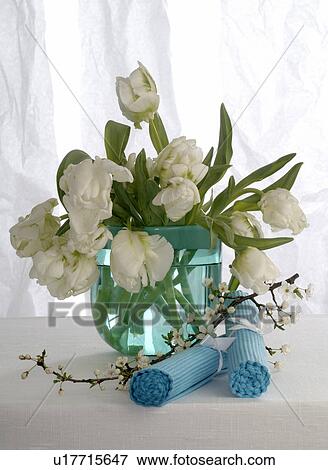 white tulips View Large Photo Image Stock Photo - white tulips. Fotosearch
