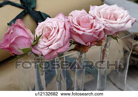 Arrangement of roses View Large Photo Image Stock Image - Arrangement of roses. Fotosearch