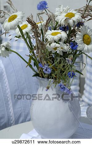 Bunch of Marguerites and corn flowers View Large Photo Image Stock Image - Bunch of Marguerites and corn flowers. Fotosearch