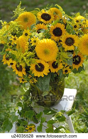 Bunch of sunflowers View Large Photo Image Stock Photo - Bunch of sunflowers. Fotosearch