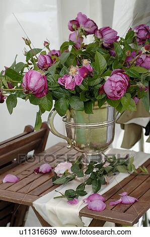 Stock Photo - Bush roses. Fotosearch