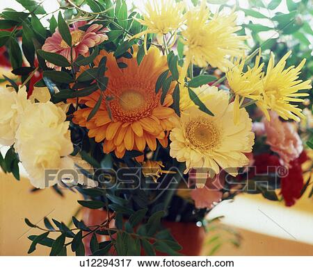Colourful bunch of flowers with gerbera and chrysatemum View Large Photo Image Stock Photo - Colourful bunch of flowers with gerbera and chrysatemum. Fotosearch