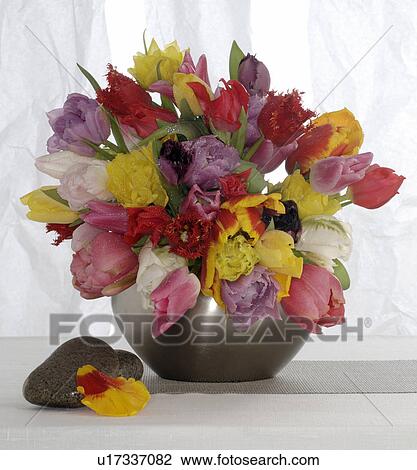 Stock Image - Colourful tulip bunch. Fotosearch