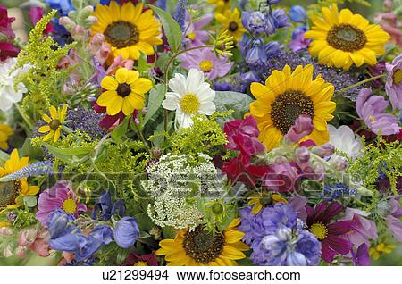 Picture - Detail of a bunch of field flowers. Fotosearch