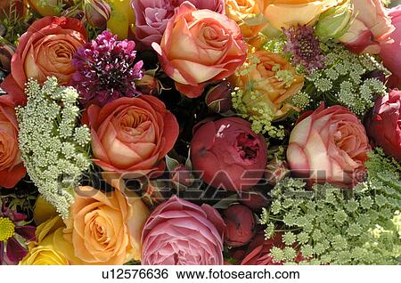 Detail of bunch of roses View Large Photo Image Stock Photograph - Detail of bunch of roses. Fotosearch
