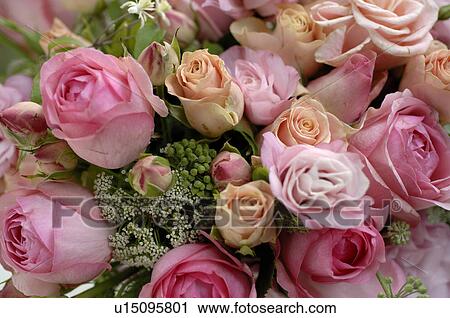 Stock Image - Pink-coloured bunch of roses. Fotosearch