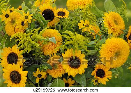 Stock Photography - Yellow bunch of flowers. Fotosearch