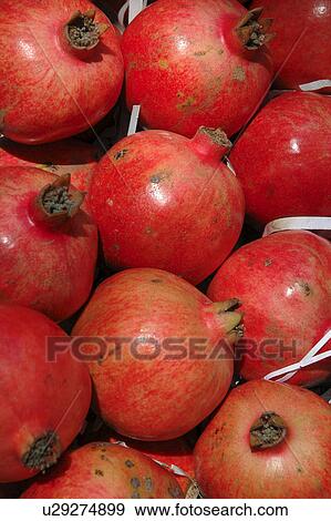 Pomesgranates View Large Photo Image Stock Photo - Pomesgranates. Fotosearch