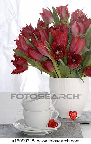 Red tulips and white porcelaine View Large Photo Image Stock Photography - Red tulips and white porcelaine. Fotosearch