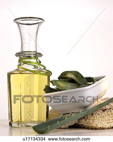 Aloe Vera oil View Large Photo Image Picture - Aloe Vera oil. Fotosearch