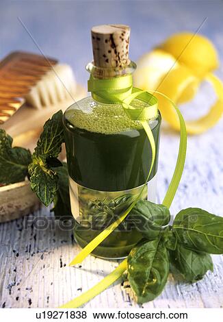Basil shampoo with mint View Large Photo Image Stock Photo - Basil shampoo with mint. Fotosearch