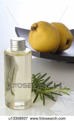 Bath ingredience with rosemary and quince View Large Photo Image Stock Photo - Bath ingredience with rosemary and quince. Fotosearch