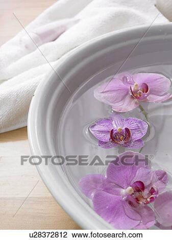 Foot-bath View Large Photo Image Stock Image - Foot-bath. Fotosearch