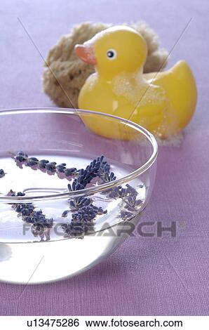 Stock Photograph - Lavender in a glass bowl and rubber duck. Fotosearch