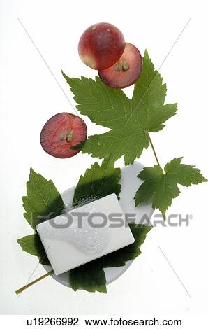 Red grapes View Large Photo Image Stock Image - Red grapes. Fotosearch