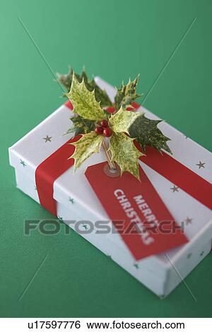 Stock Photograph - Christmas Present. Fotosearch