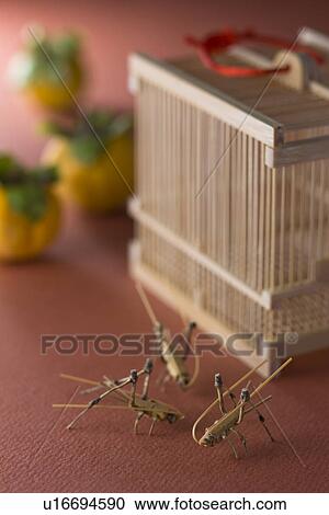 Stock Image - Insect Cage and Bamboo Work of Bell-ring Cricket. Fotosearch
