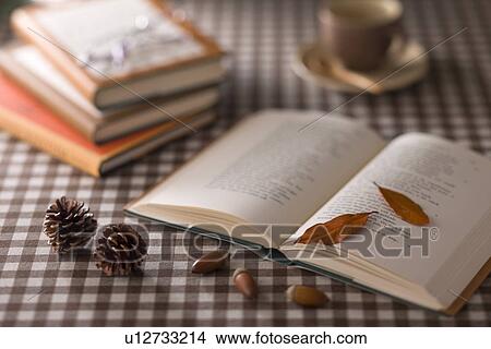 Picture - Leaf, Acorn and Book. Fotosearch