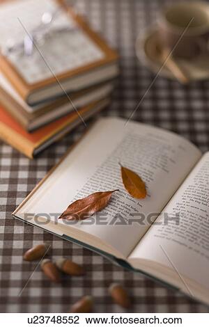 Stock Image - Leaf, Acorn and Book. Fotosearch