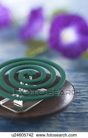 Stock Image - Mosquito Coil. Fotosearch