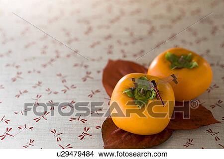 Persimmon View Large Photo Image Picture - Persimmon. Fotosearch