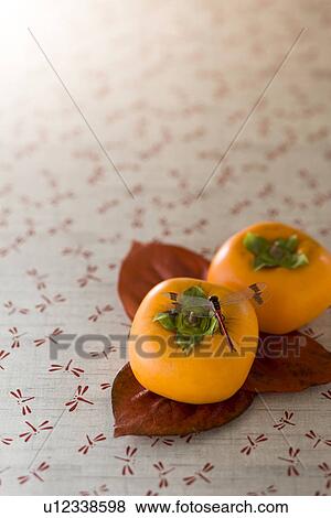 Persimmon View Large Photo Image Stock Photo - Persimmon. Fotosearch
