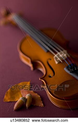 Stock Image - Violin and Acorn. Fotosearch
