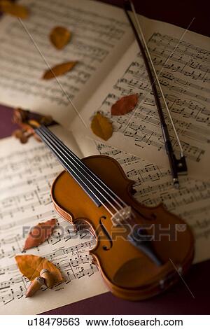 Stock Image - Violin and Acorn. Fotosearch