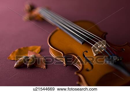 Violin and Acorn View Large Photo Image Stock Photo - Violin and Acorn. Fotosearch