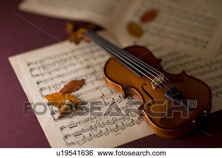 Violin and Acorn View Large Photo Image Stock Photograph - Violin and Acorn. Fotosearch