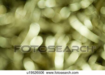 Decoration Tinsel View Large Photo Image Stock Photograph - Decoration Tinsel. Fotosearch