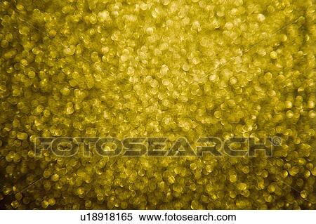 Stock Photography - Sequin. Fotosearch