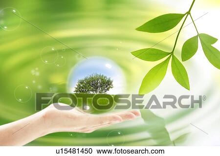 Stock Image - Lohas, Environmental Conservation, Digitally generated image of human hand holding a sphere with tree. Fotosearch